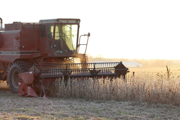 Top 10 soybean import companies in Japan