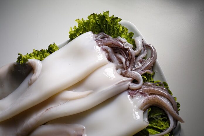 Top 10 squid import companies in France