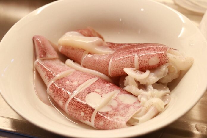 Top 10 squid import companies in South Korea