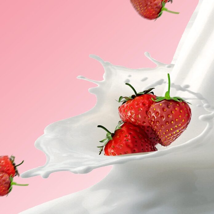 Top 10 yak milk brands in China