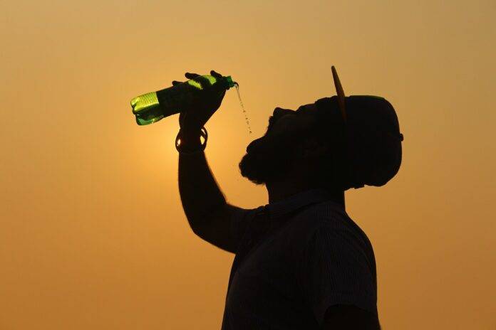 Why active consumers choose electrolyte water over sugary sports drinks