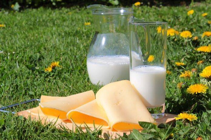 and Lactose Derivatives