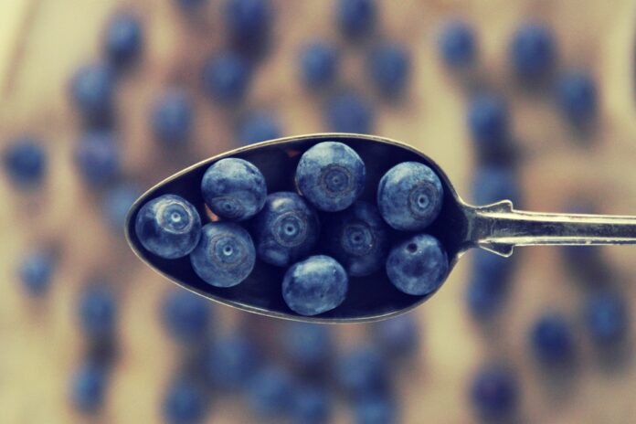 Top 10 high protein yogurt import companies in the United Kingdom