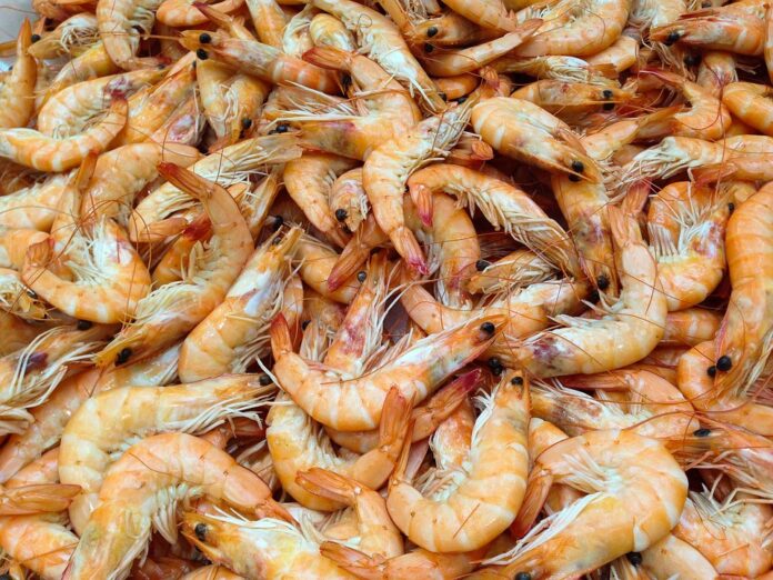 Top 10 allergen aware shellfish stock products in 2025