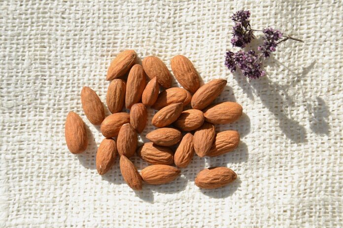 Top 10 almond oil export companies in United States