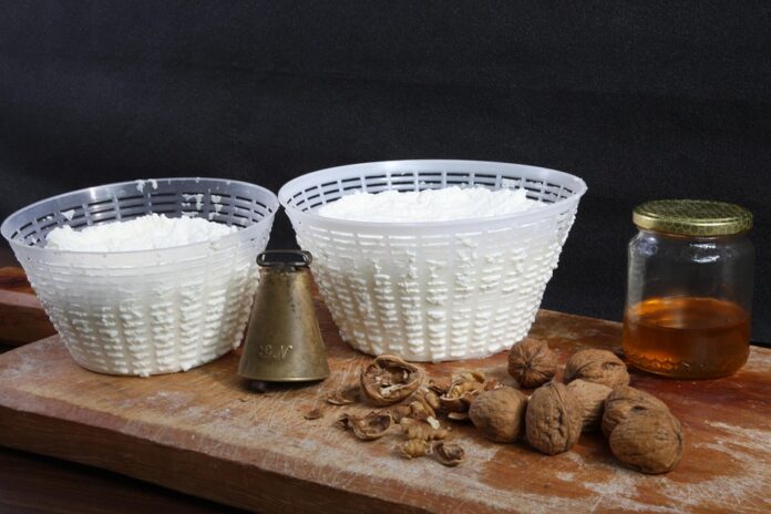 Top 10 ambient cheese export companies in Italy