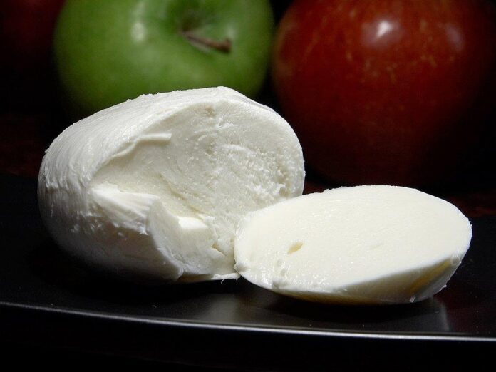 Top 10 ambient cheese export companies in New Zealand