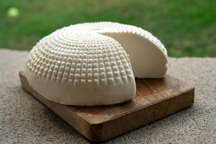 Top 10 analogue cheese export companies in New Zealand