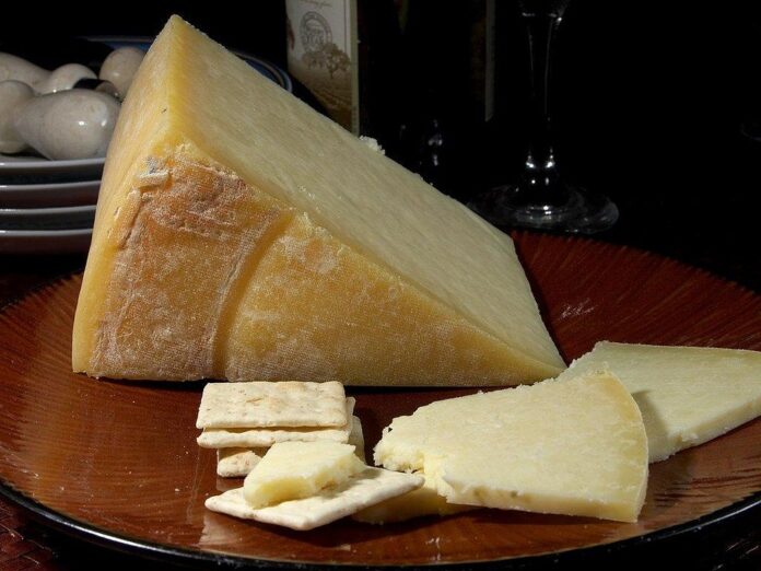 Top 10 analogue cheese export companies in Poland