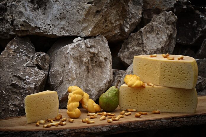 Top 10 analogue cheese import companies in the United States