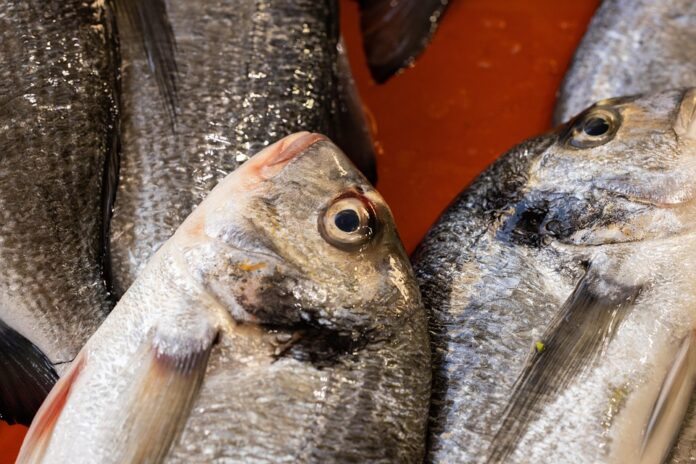 Top 10 anchovy import companies in Brazil