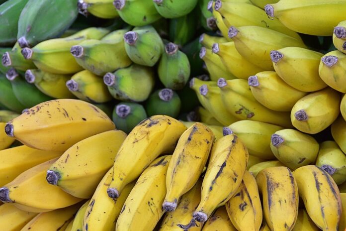 Top 10 baby fruit juice producing countries in 2025