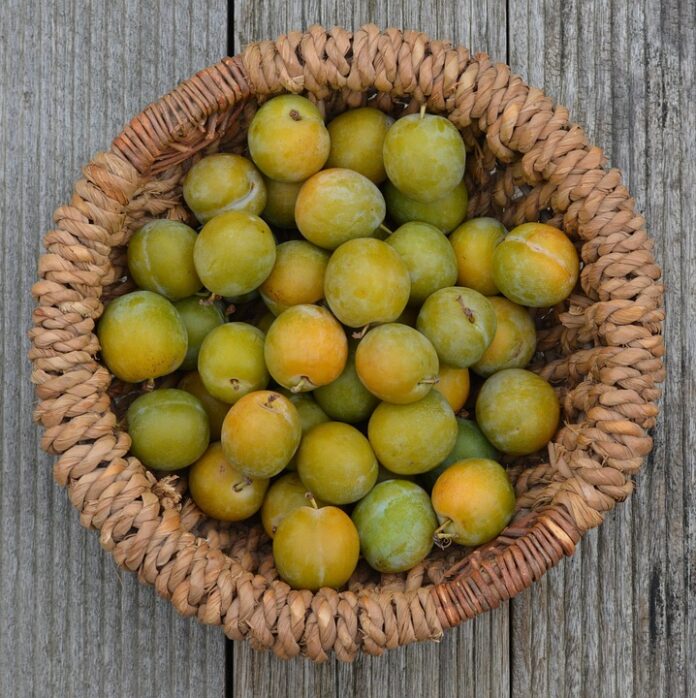 Top 10 baby fruit puree export companies in China