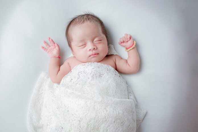 Top 10 baby grain puree export companies in United States