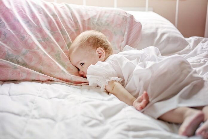 Top 10 baby grain puree import companies in Brazil