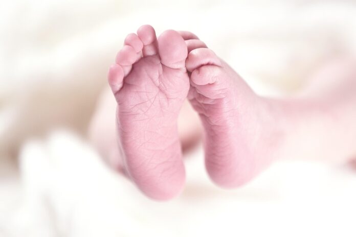 Top 10 baby grain puree import companies in China
