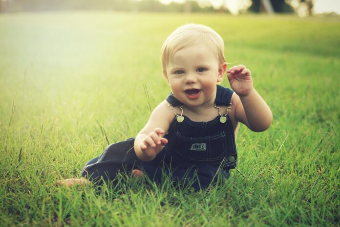 Top 10 baby grain puree import companies in France