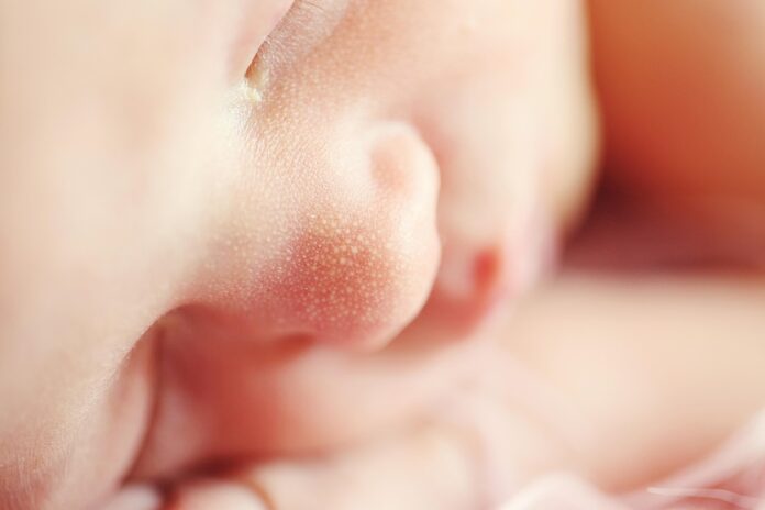Top 10 baby grain puree import companies in Japan
