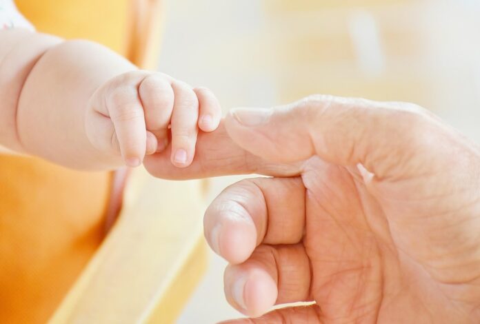 Top 10 baby grain puree import companies in United States
