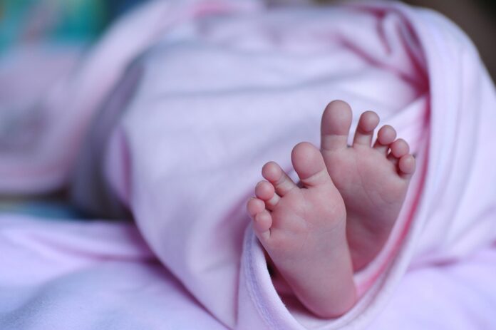 Top 10 baby grain puree importing countries in 2025
