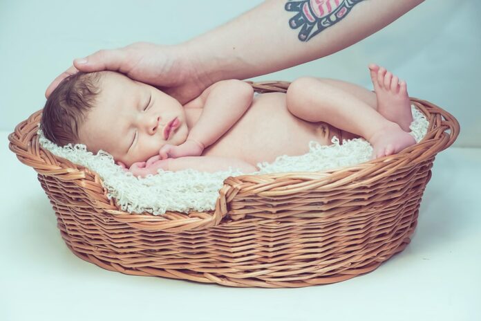 Top 10 baby meat puree import companies in Thailand