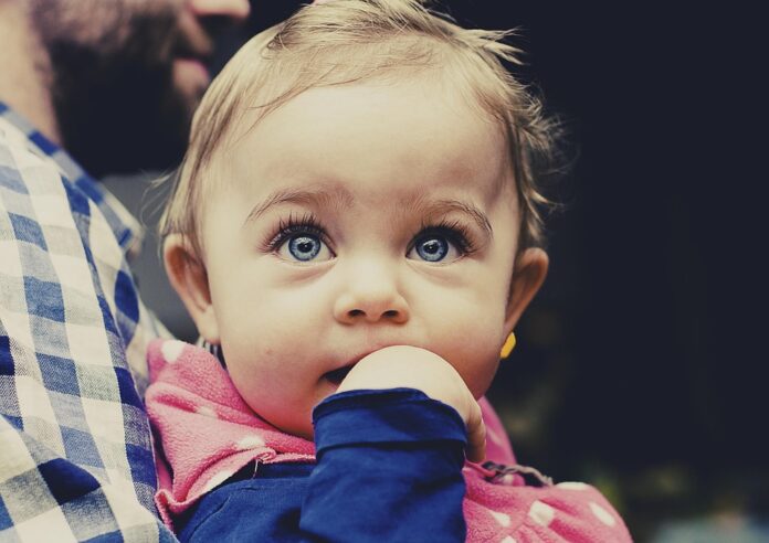 Top 10 baby protein pouch import companies in Brazil