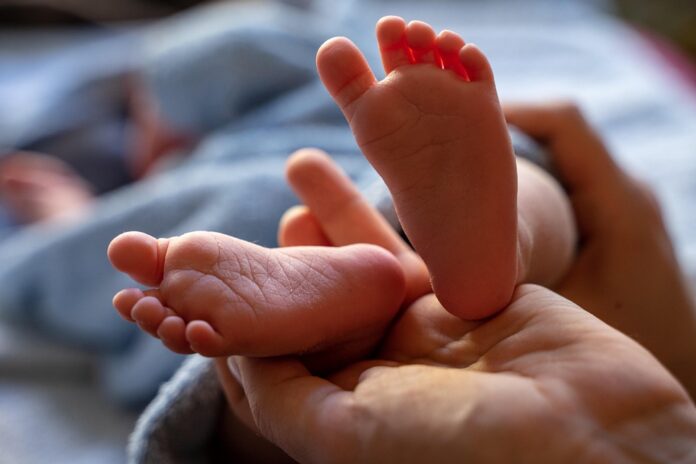 Top 10 baby protein pouch import companies in India