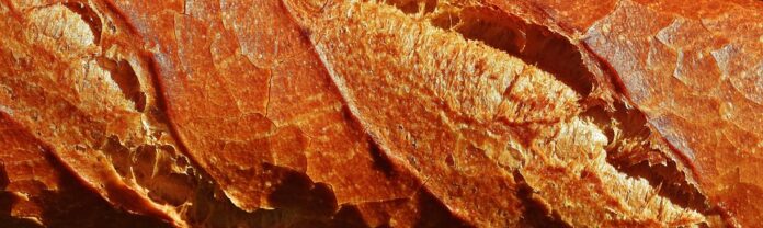 Top 10 baking packaging import companies in Germany