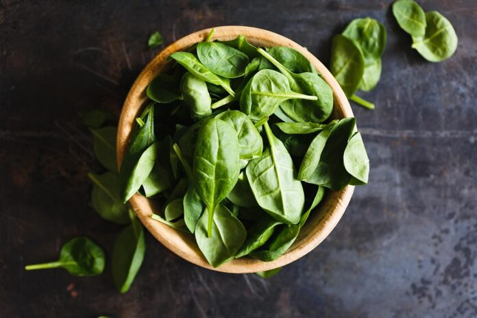 Top 10 basil import companies in Saudi Arabia