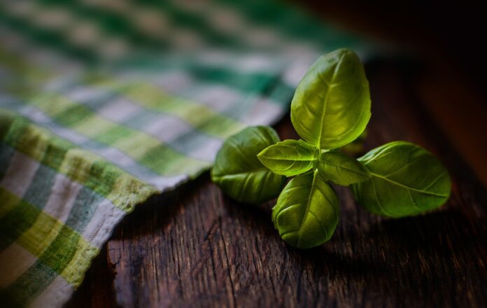 Top 10 basil import companies in the United Kingdom
