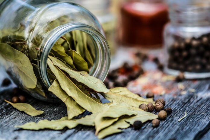 Top 10 bay leaves export companies in Egypt