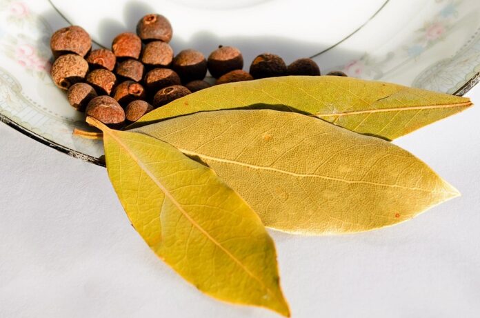 Top 10 bay leaves import companies in Japan