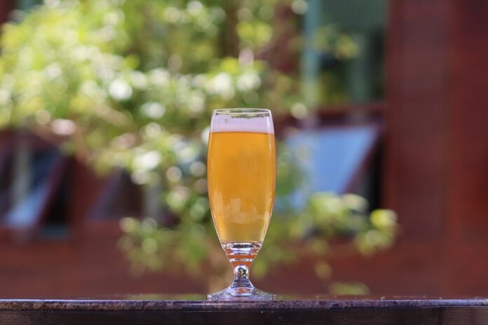 Top 10 beer packaging export companies in Brazil