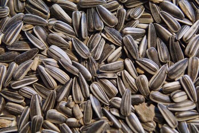 Top 10 bird food producers in France