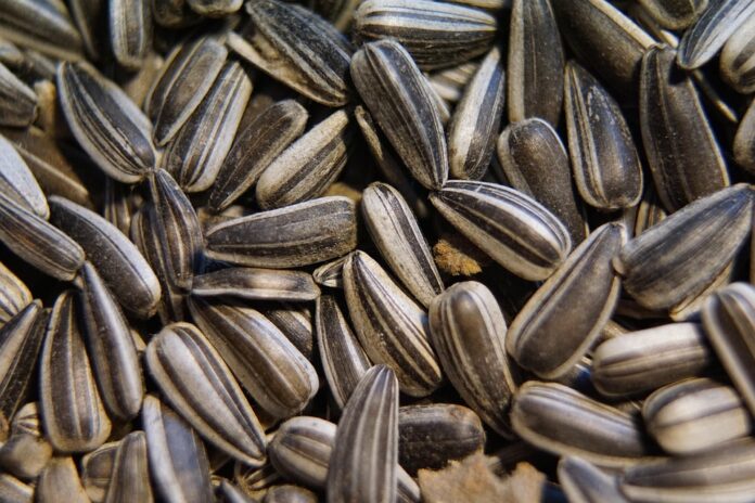 Top 10 bird food producers in the United Kingdom
