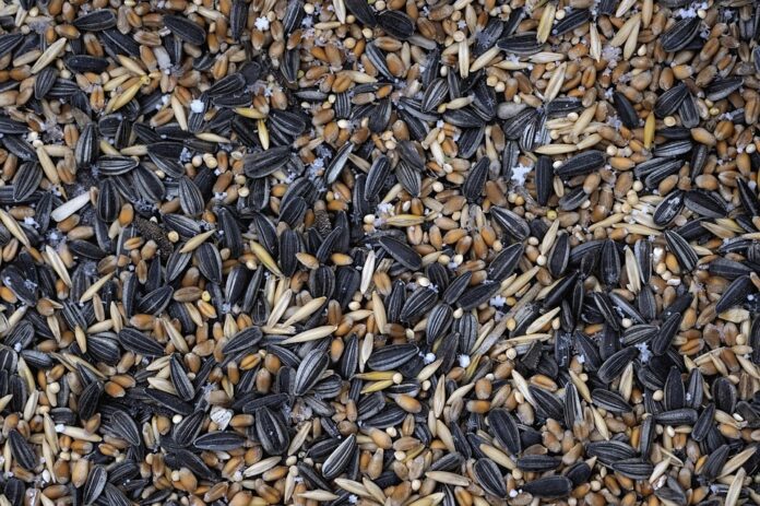 Top 10 bird food producers in the United States