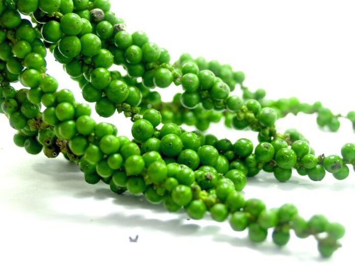 Top 10 black pepper import companies in Australia