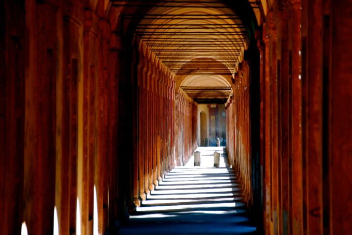 Top 10 bologna export companies in France