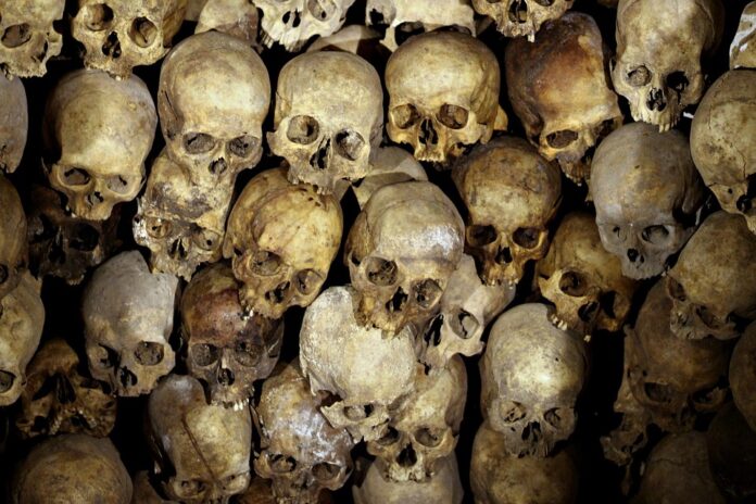 Top 10 bones importers globally in 2025