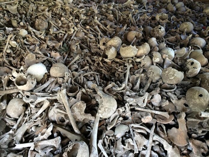 Top 10 bones producers in the United Kingdom