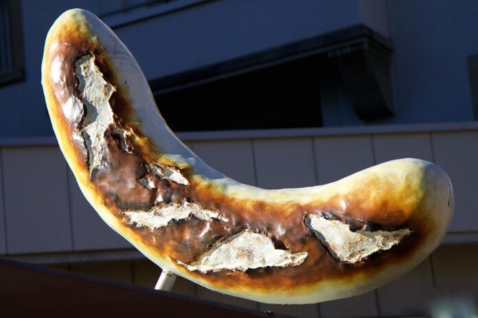 Top 10 bratwurst export companies in the United States