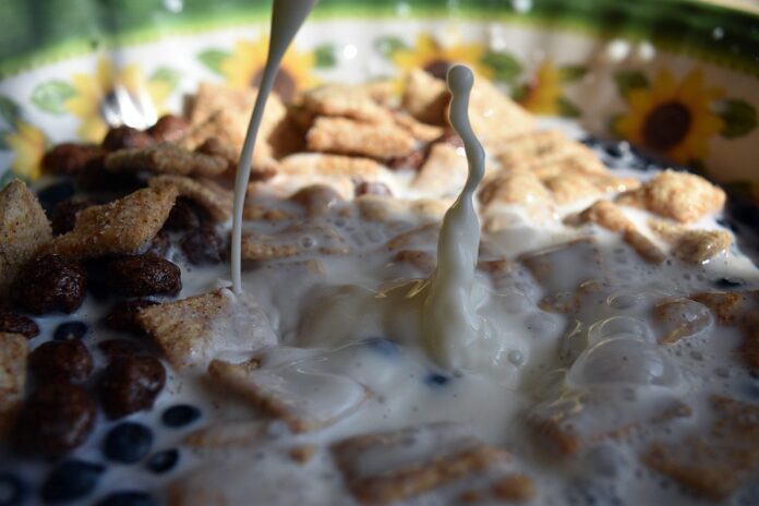Top 10 breakfast cereal brands in the world in 2025