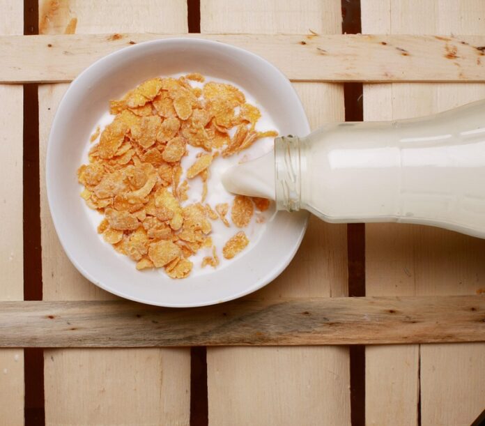 Top 10 breakfast cereal companies in Brazil in 2025