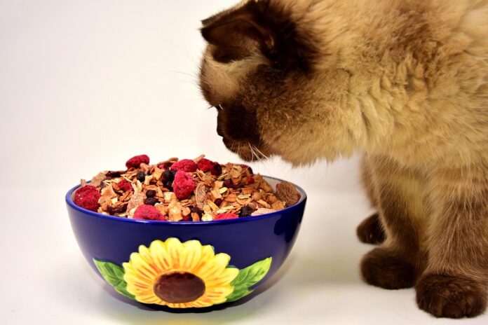 Top 10 breakfast cereal packaging export companies in United Kingdom