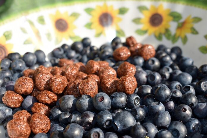Top 10 breakfast food companies in United States in 2025