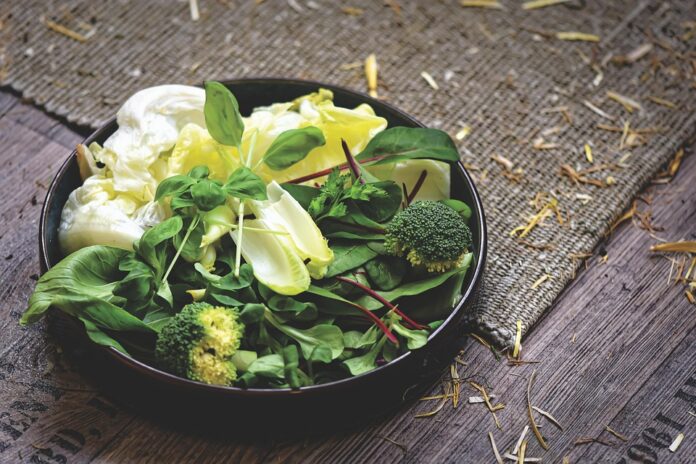 Top 10 bulk rabbit food suppliers for retailers and distributors
