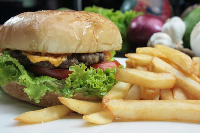 Top 10 burger patty import companies in France