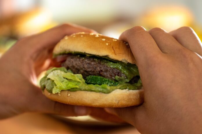 Top 10 burger patty import companies in the United States