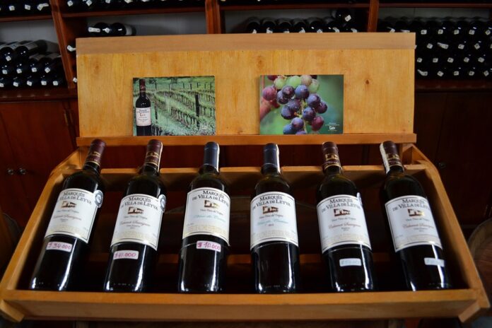 Top 10 cabernet sauvignon wine producers in Argentina