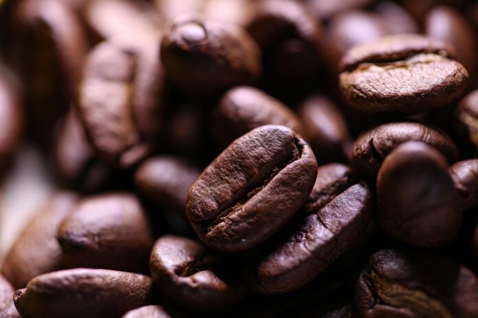 Top 10 cafes companies in the world in 2025